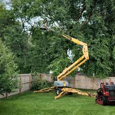 Best Pest Control for Lawns  in Perkasie, PA